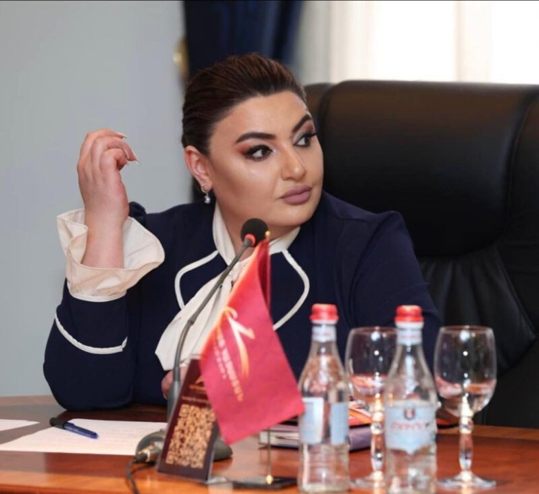 «Դիվանագիտությունը արկածախնդրություն չէ». Իվետա Տոնոյանը՝ Փաշինյանին