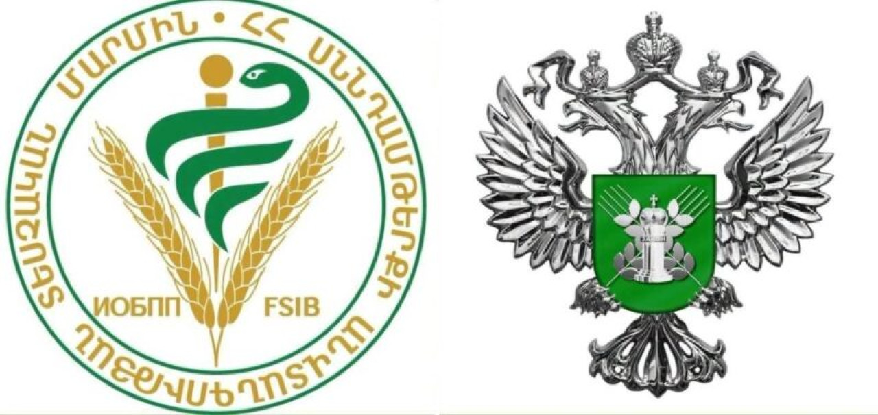 Համատեղ ստուգումների արդյունքում թույլատրվել է հայկական 2 ընկերությունների արտադրանքի ներմուծումը ՌԴ