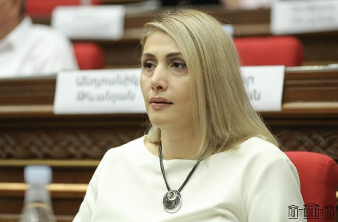 Ոչ ոք իրավունք չունի գողանալ ժողովրդի ձայնը, իշխանության աղբյուրը ժողովուրդն է. Էլինար Վարդանյան