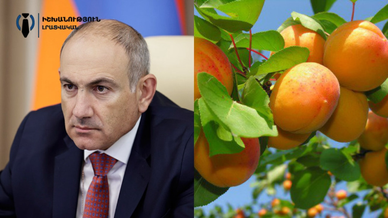 Կներե՛ք, չենք կարող դույլով ծիրան տանենք ԵՄ․ Նիկոլ Փաշինյան