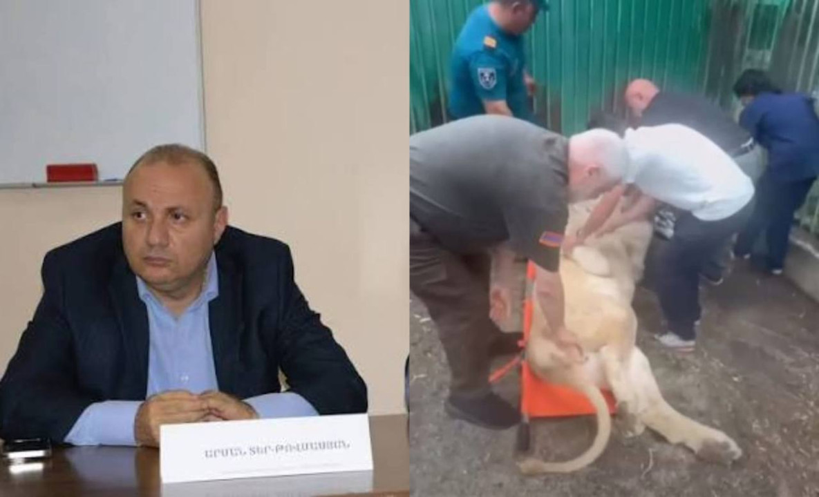 Ո՞վ է ոչնչացրել իրեղեն ապացույցը, ինչու՞ սատկեց Ծառուկյանի առյուծը