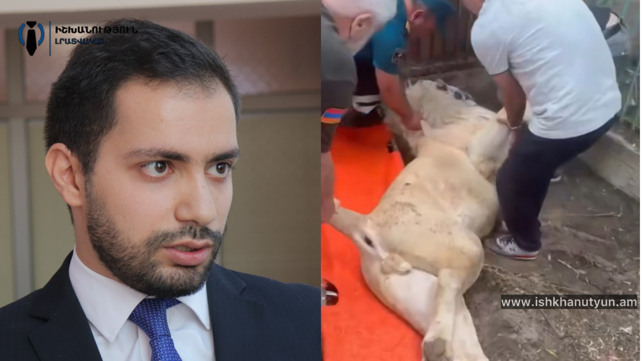 Արմեն Գալջյանը՝ Ծառուկյանի առյուծի մահվան պատճառների մասին