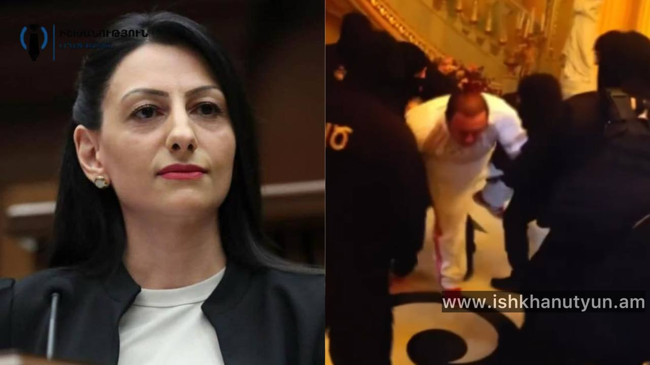 ՄԻՊ-ը պարզաբանումներ է պահանջել Ծառուկյանի ձերբակալության ընթացքում ուժի կիրառման վերաբերյալ