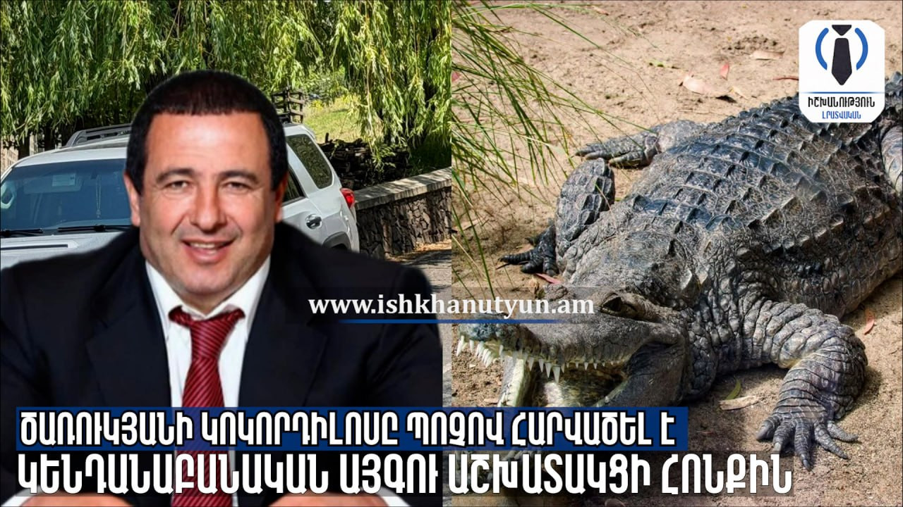 Ծառուկյանի կոկորդիլոսը պոչով հարվածել է կենդանաբանական այգու աշխատակցի հոնքին