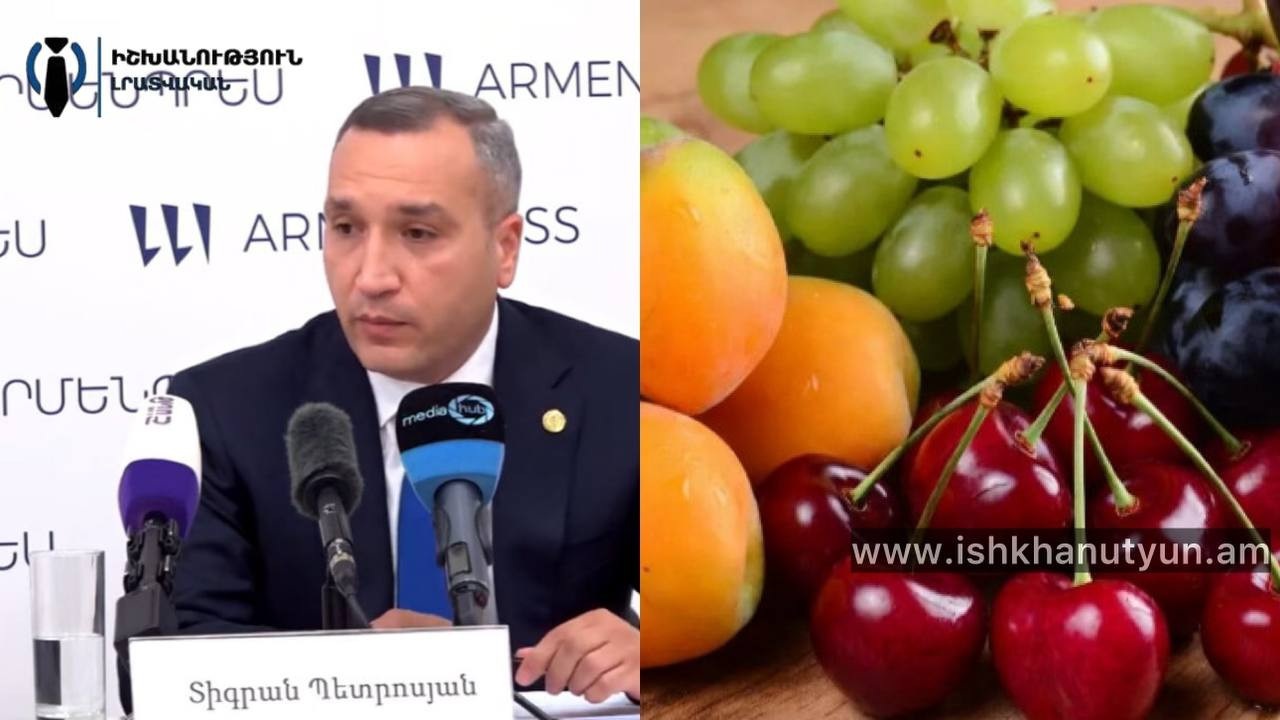 Ռուսական սահմանափակումները «սանկցիա» չեն, այլ ժամանակավոր խնդիր. Տիգրան Պետրոսյան