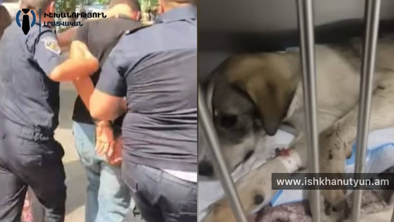 Շանը դանակահարած տղամարդը ձերբակալվել է