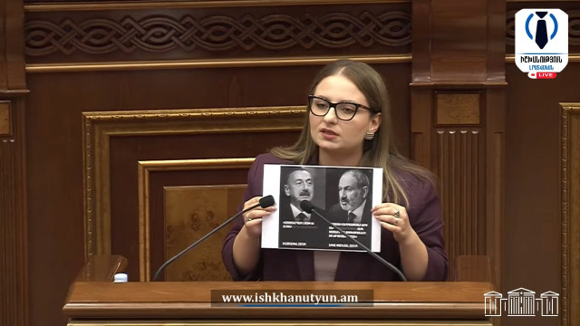 «Փաշինյանը ստանձնել է Ալիևի հագով Սահմանադրություն կարելու պահանջը»․ Քրիստինե Վարդանյան