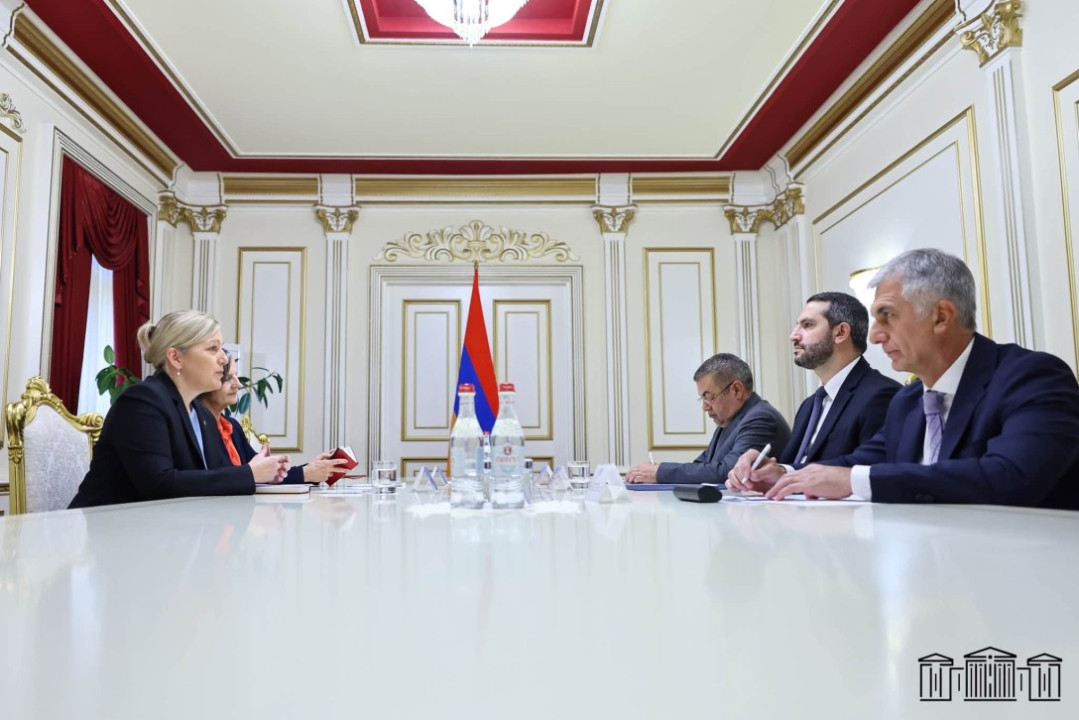Ռուբեն Ռուբինյանն ընդունել է Շվեյցարիայի դեսպանին․ ինչ են քննարկել