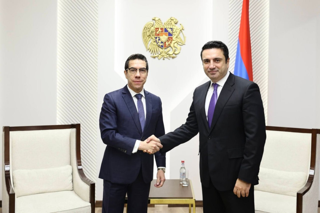 Ալեն Սիմոնյանն ընդունել է Հայաստանում Բրազիլիայի դեսպանին