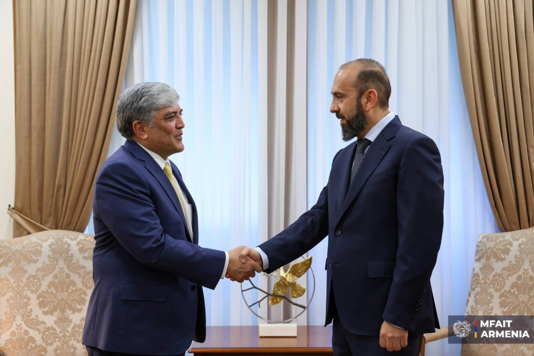 ՀՀ ԱԳՄԱ նախարարն ընդունել է Պակիստանի նորանշանակ դեսպանին. ինչ են քննարկել