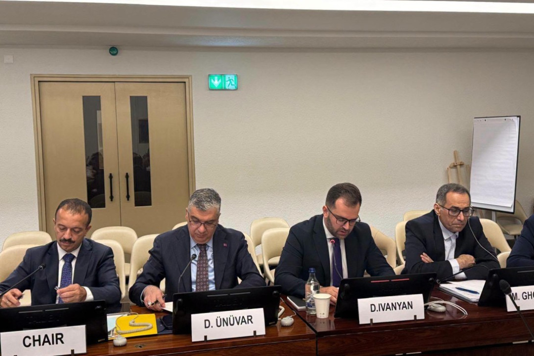 Դավիթ Իվանյանը ներկայացրել է Հայաստանի քայլերը