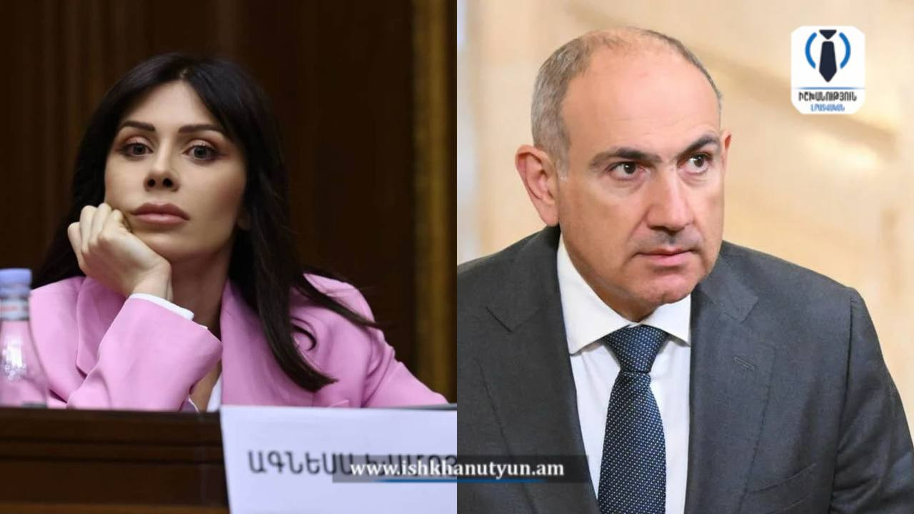 «Քննչականն ու ՊԵԿ-ը դարձել են իշխանության ձեռքի նոր պատժիչ զույգը»․ Ագնեսա Խամոյան