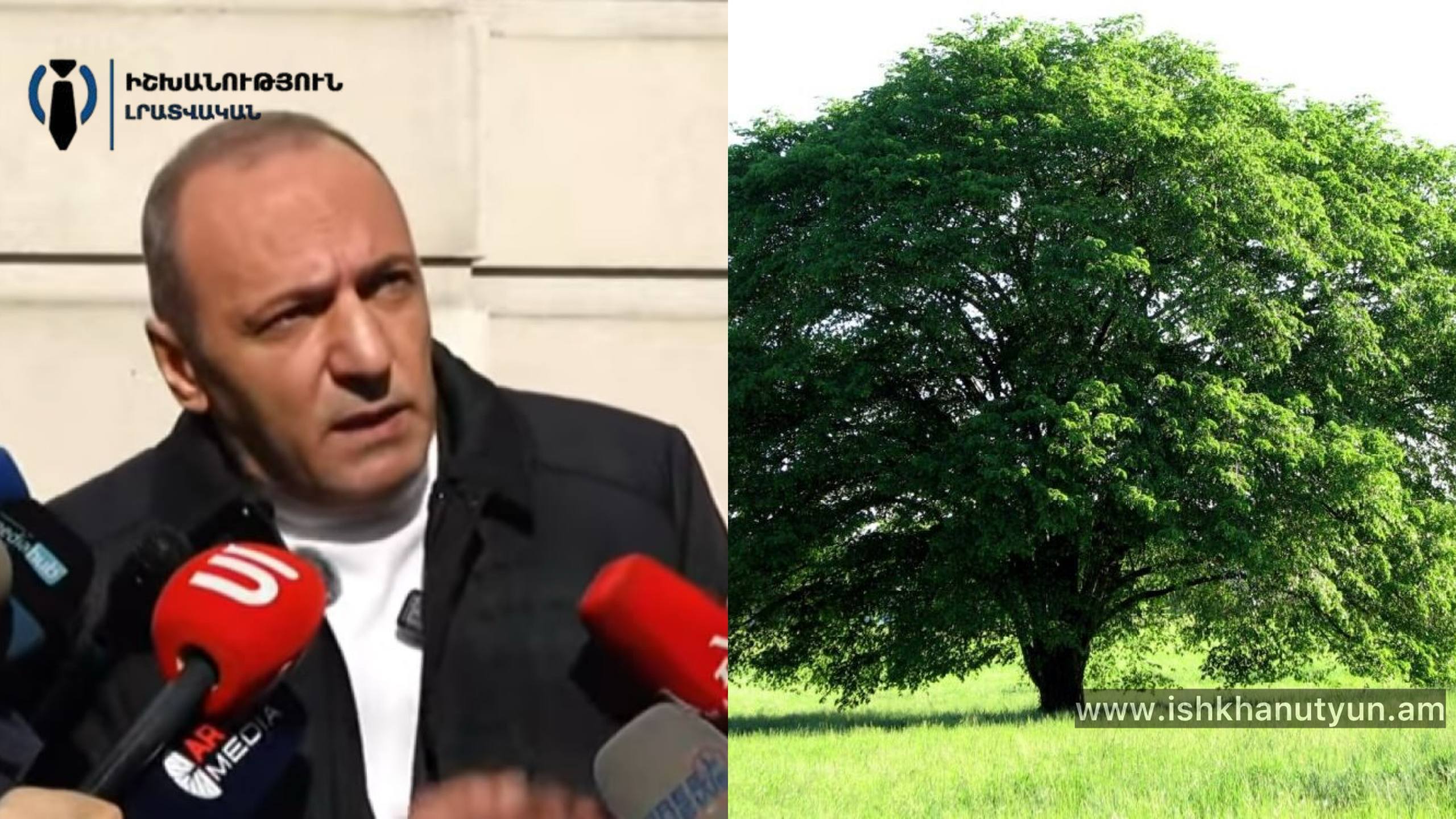 Երևանի այս պոզերով թեղիները երկաթյա սյունից էլ վատ են. Բեգոյանը պնդում է՝ թեղիներն իրենց կյանքն ապրել են և պետք է փոխարինվեն