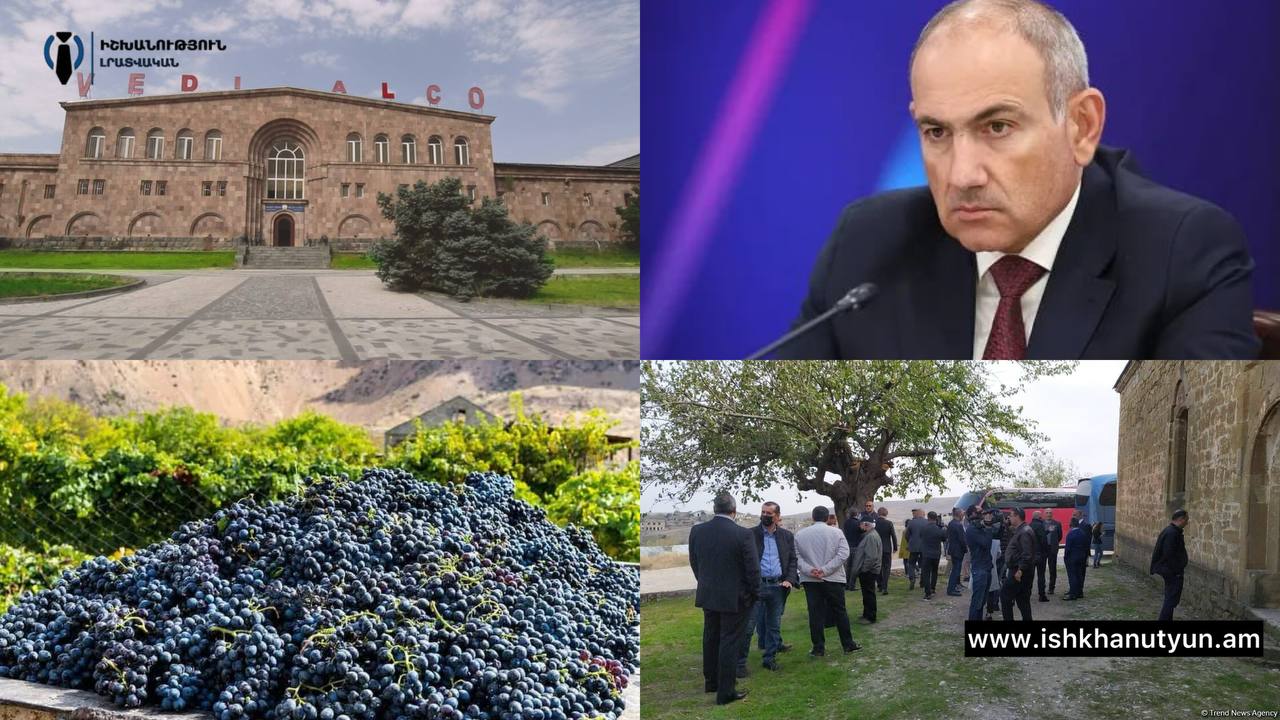 Կառավարությունը «գցե՞լ» է գյուղացիներին. խաղողը հանձնել են՝ գումարը չեն ստացել